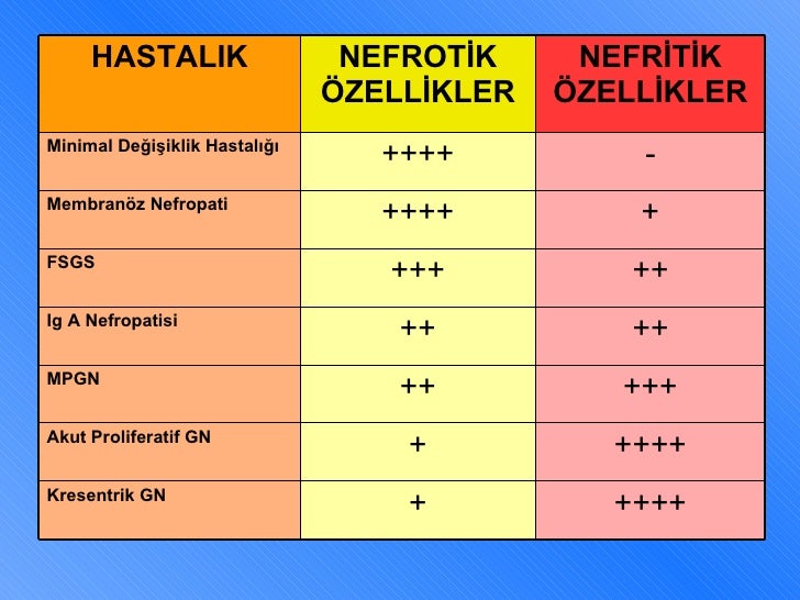 Navigation menu